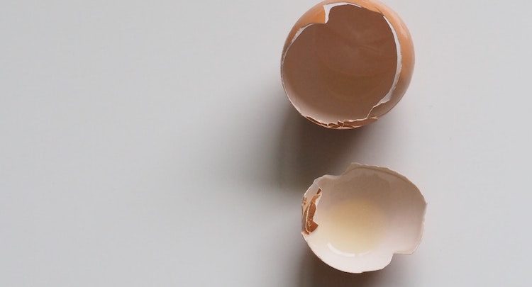 eggshells