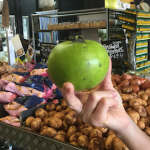 black sapote perrys