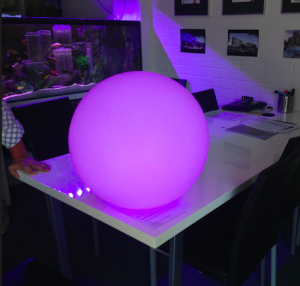 Floating Ball Purple