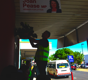 WynnumCentral hanging baskets trial starts